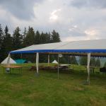 Ein First-Zelt vor einem Waldrand