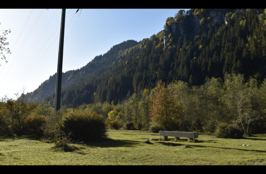 Lagerplatz-Übersicht