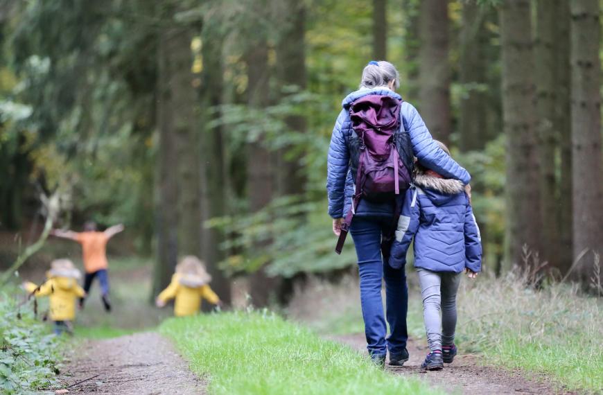 Schatzsuche im Wald