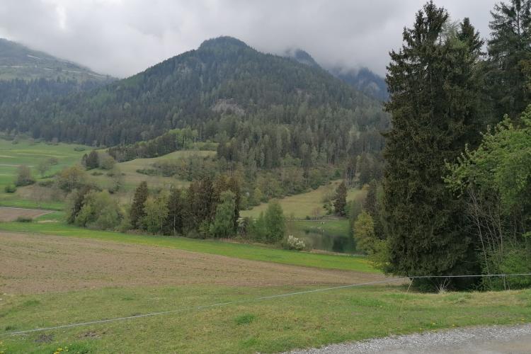 Hier steht man auf dem Lagerplatz und sieht zu dem öffentlichen kleinen See, den man ebenfalls benutzen darf. 