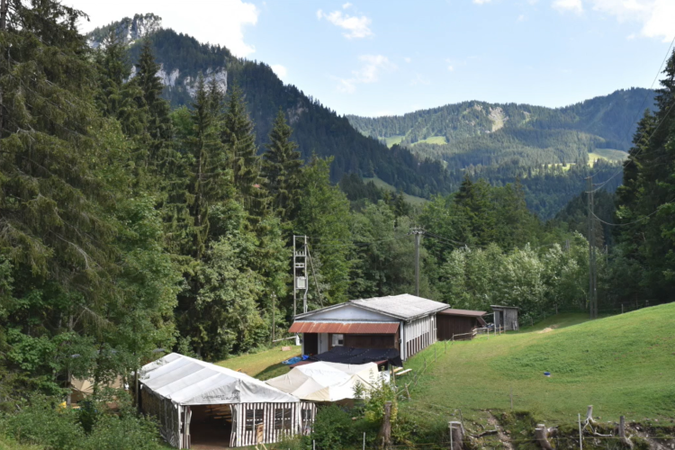 Lagerplatz-Übersicht