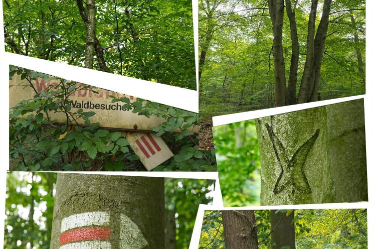 Foto-Schnitzeljagd als Beispiel-Collage, die für Teenager konzipiert wurde.