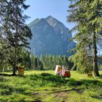 Übergang von Waldlichtung auf Spielwiese