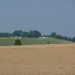 Lagerplatz-Ansicht von Weitem über ein Kornfeld.